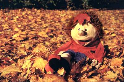 Freddy im Herbst